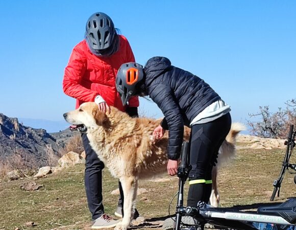 Cycle Journey Granada/Ronda